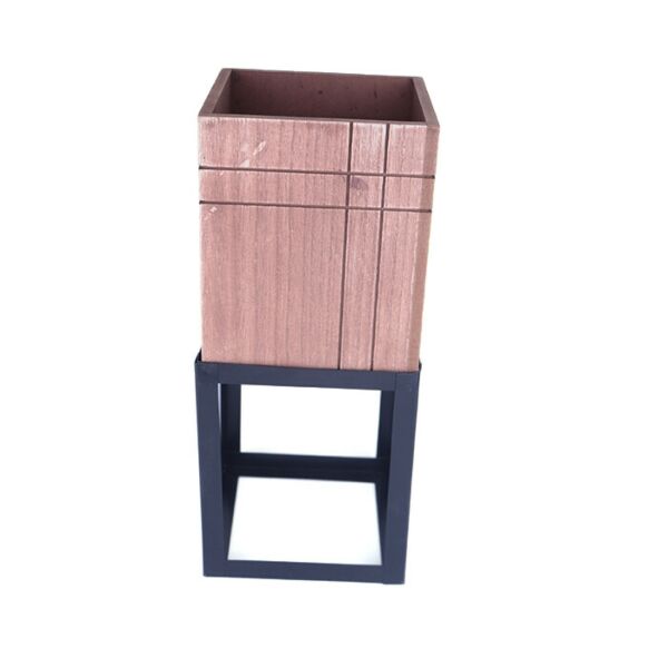 baytonia_main product photo