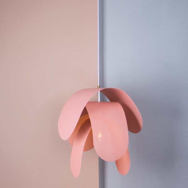 baytonia_main product photo