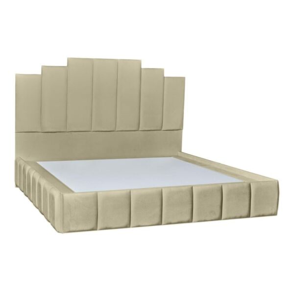 baytonia_main product photo