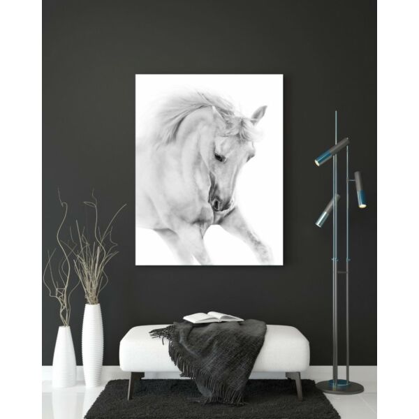 baytonia_main product photo