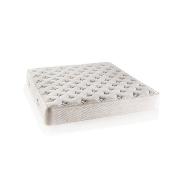 baytonia_main product photo