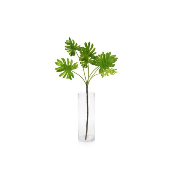 baytonia_main product photo