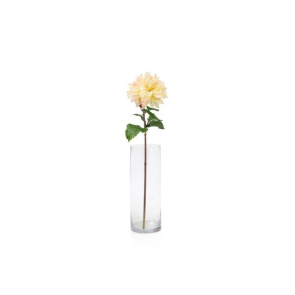 baytonia_main product photo