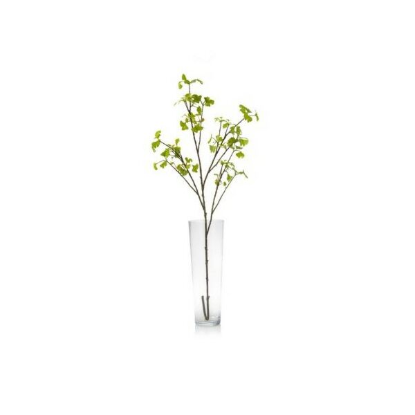 baytonia_main product photo