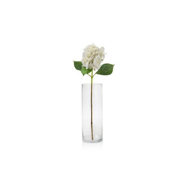 baytonia_main product photo
