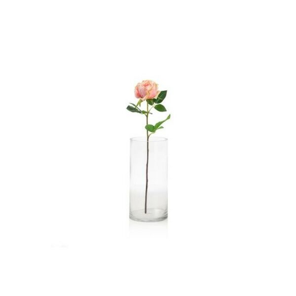 baytonia_main product photo