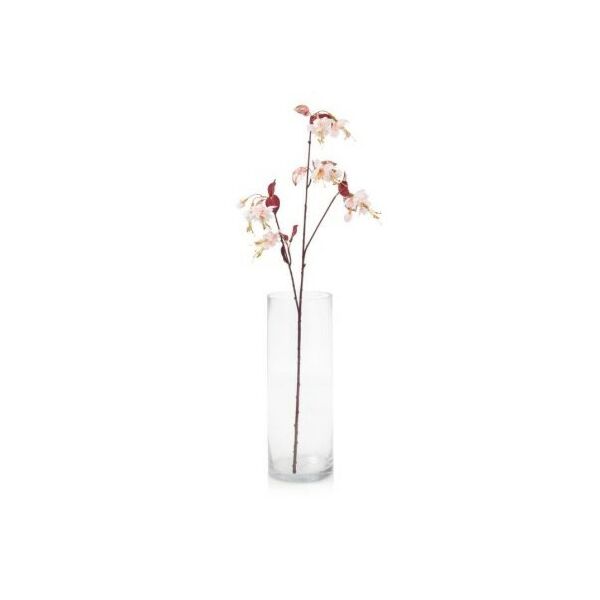 baytonia_main product photo