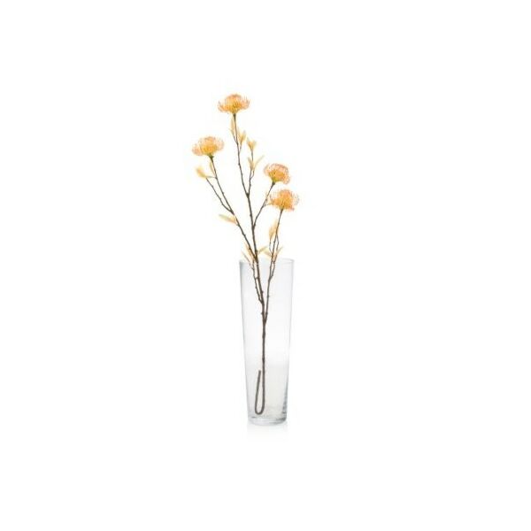baytonia_main product photo