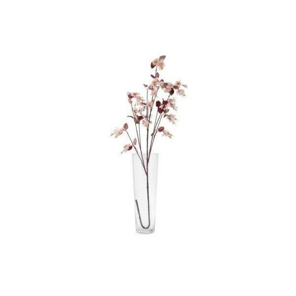 baytonia_main product photo