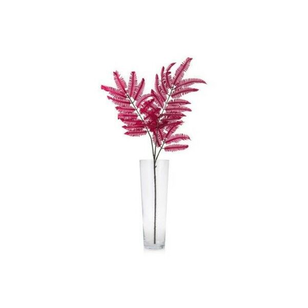 baytonia_main product photo