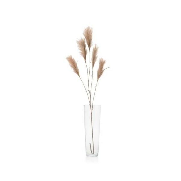 baytonia_main product photo