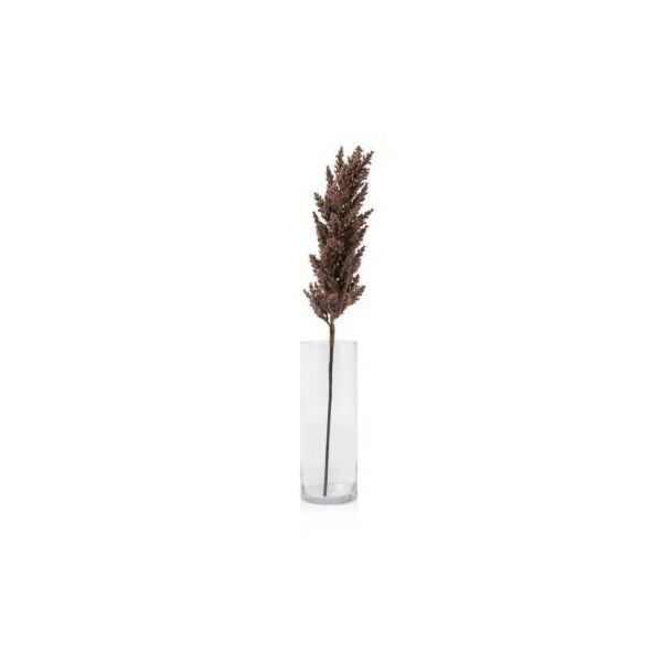 baytonia_main product photo