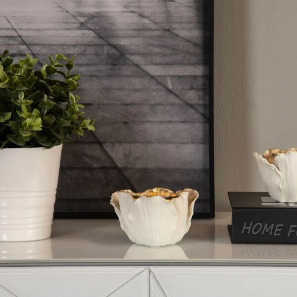 baytonia_main product photo