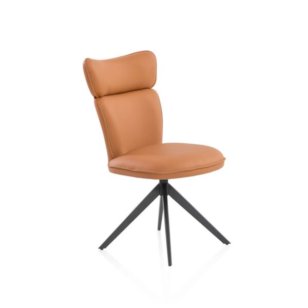 baytonia_main product photo