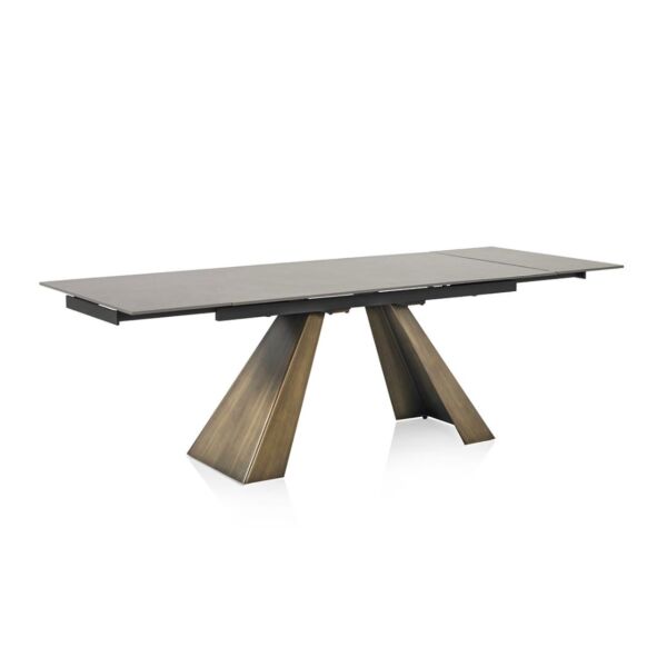 baytonia_main product photo