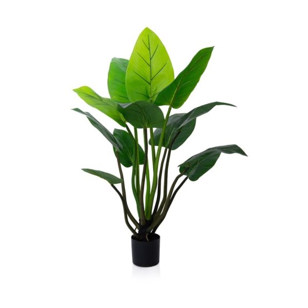 baytonia_main product photo