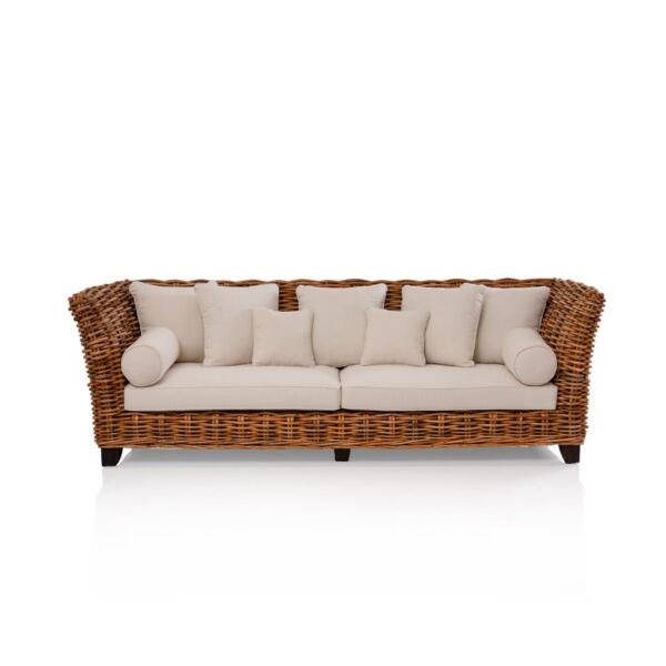 baytonia_main product photo