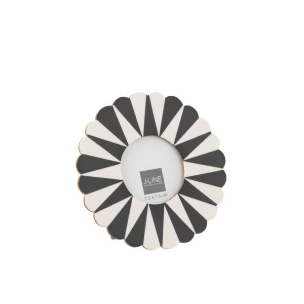 baytonia_main product photo