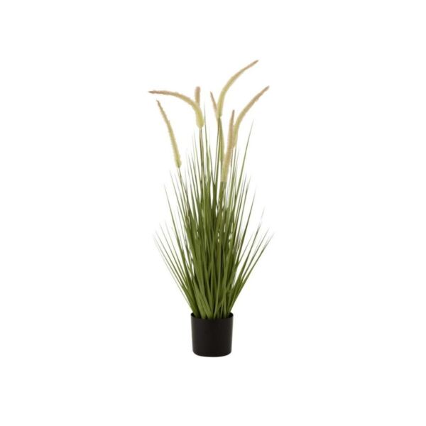 baytonia_main product photo