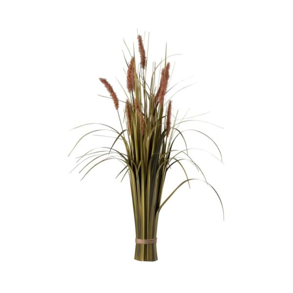 baytonia_main product photo