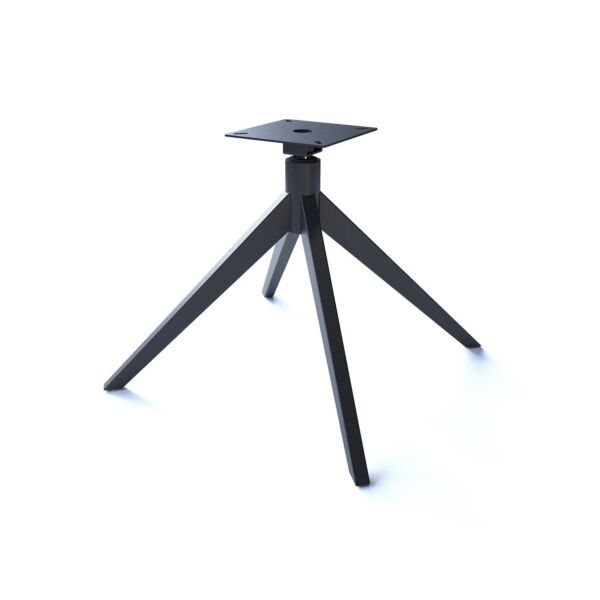 baytonia_main product photo