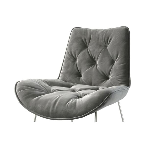 baytonia_main product photo