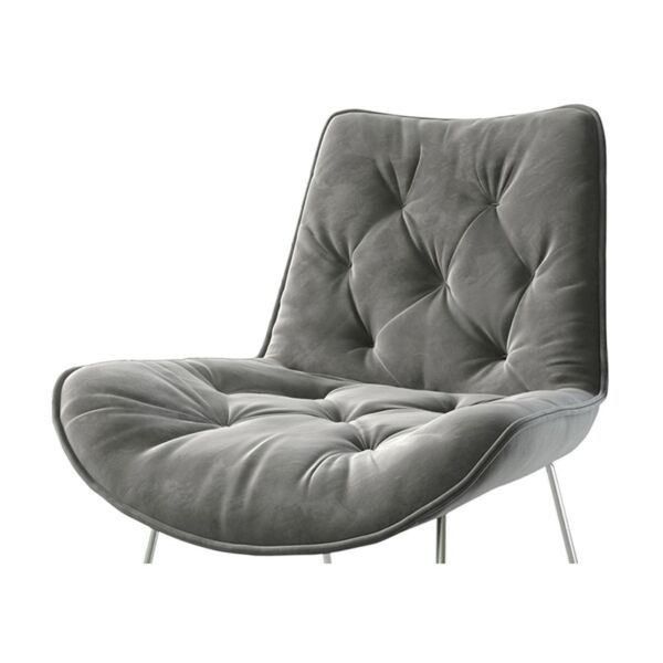 baytonia_main product photo