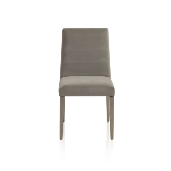 baytonia_main product photo