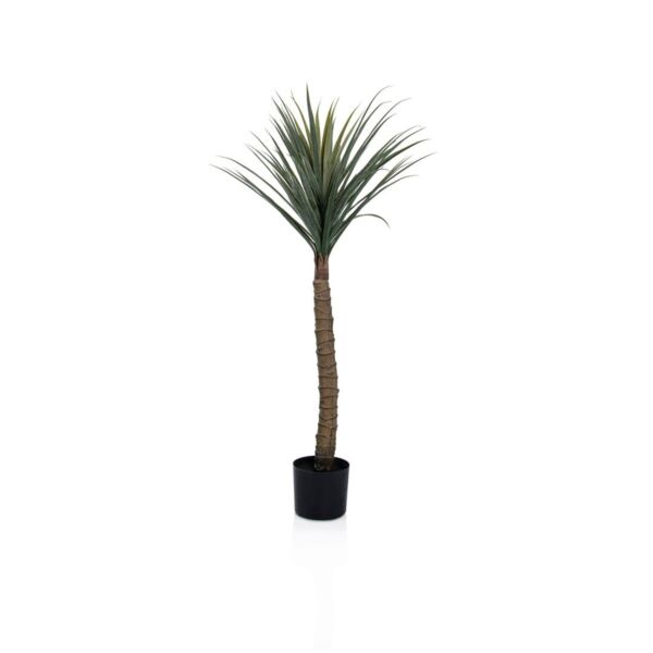 baytonia_main product photo