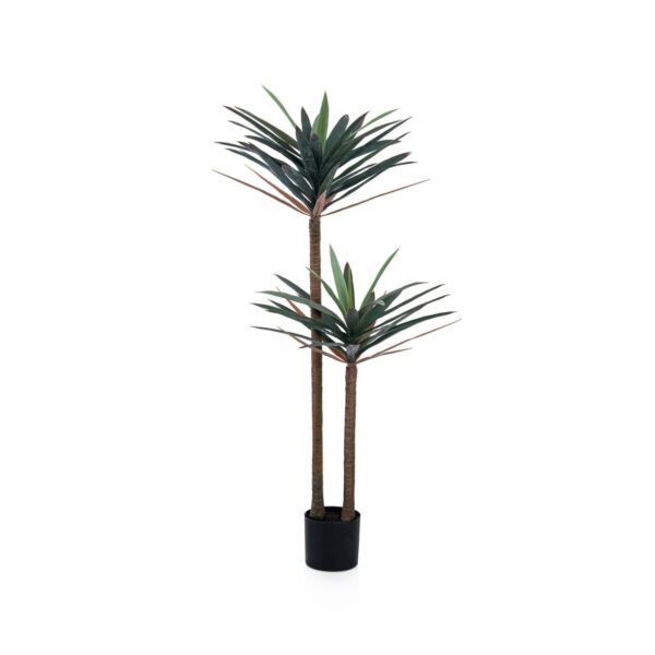 baytonia_main product photo