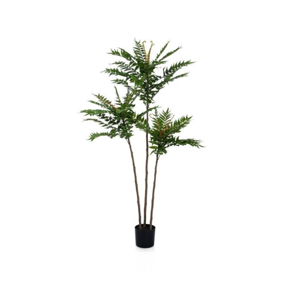 baytonia_main product photo