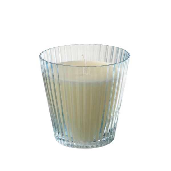 baytonia_main product photo