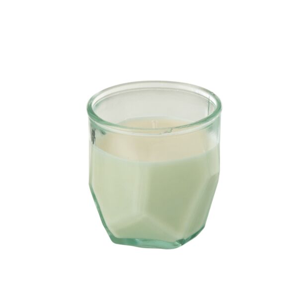 baytonia_main product photo
