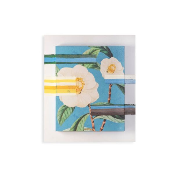 baytonia_main product photo