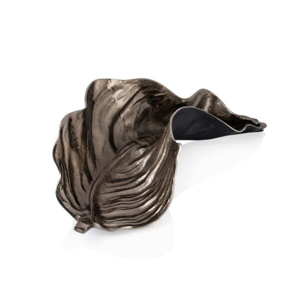 baytonia_main product photo