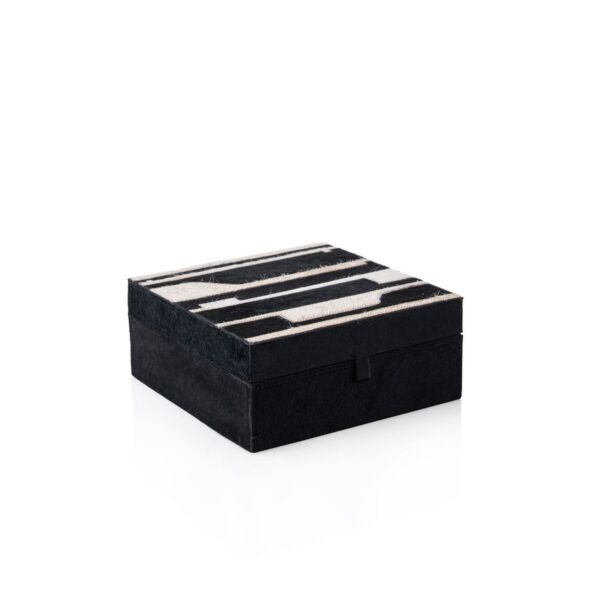 baytonia_main product photo