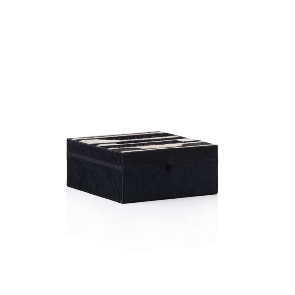 baytonia_main product photo