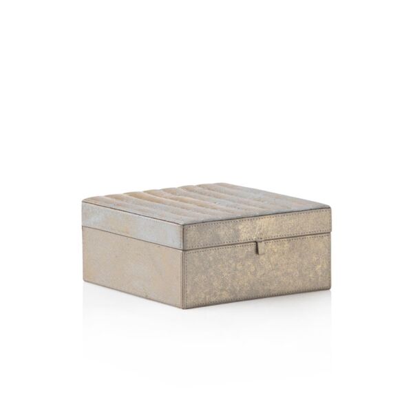 baytonia_main product photo