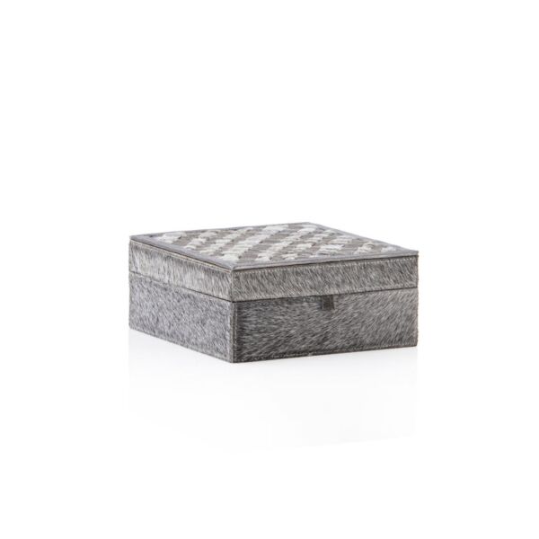 baytonia_main product photo