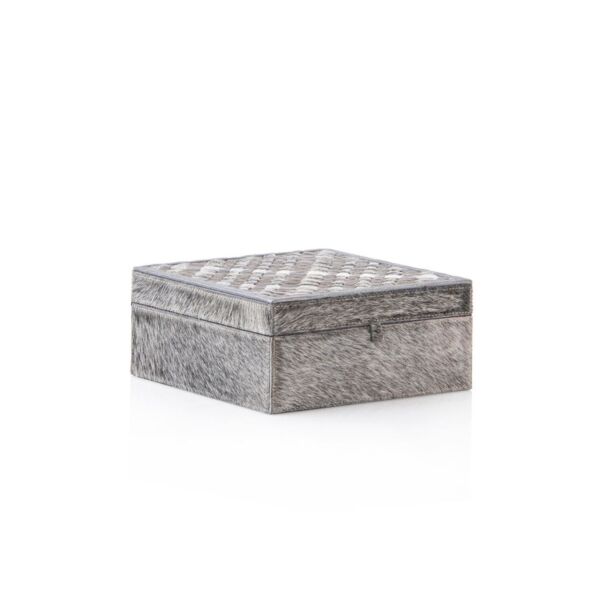 baytonia_main product photo