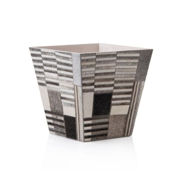 baytonia_main product photo