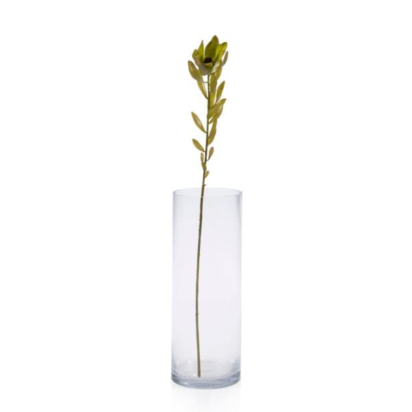 baytonia_main product photo