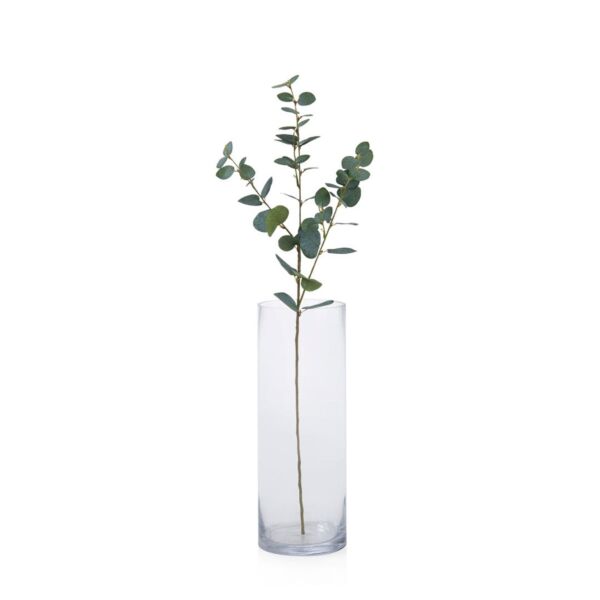 baytonia_main product photo