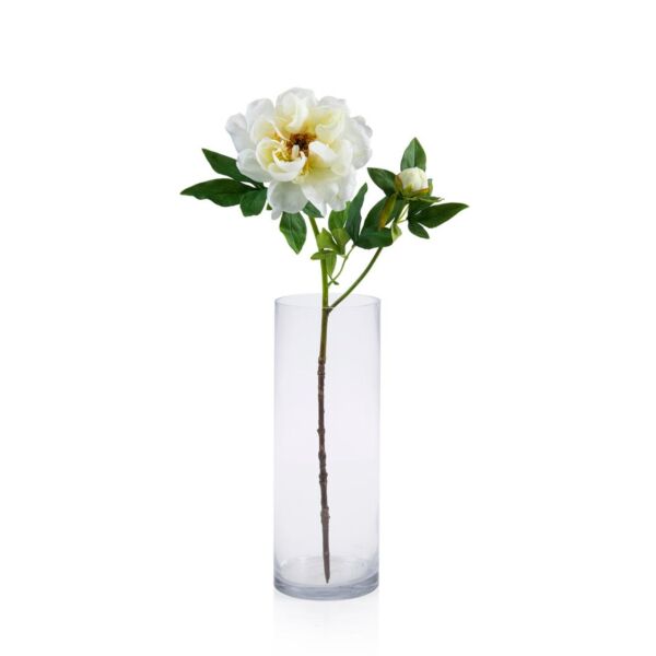 baytonia_main product photo