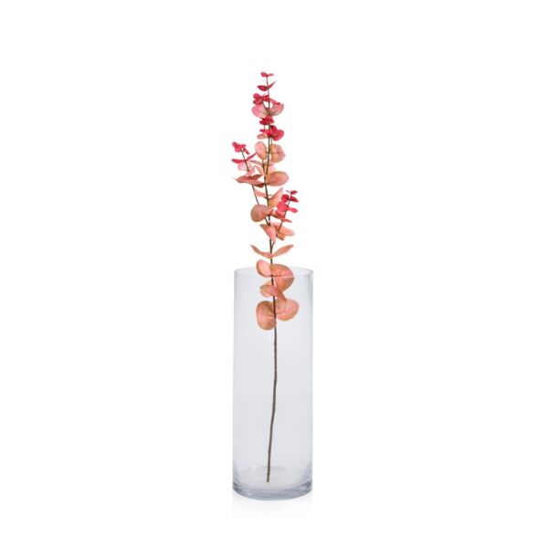 baytonia_main product photo