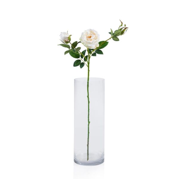 baytonia_main product photo