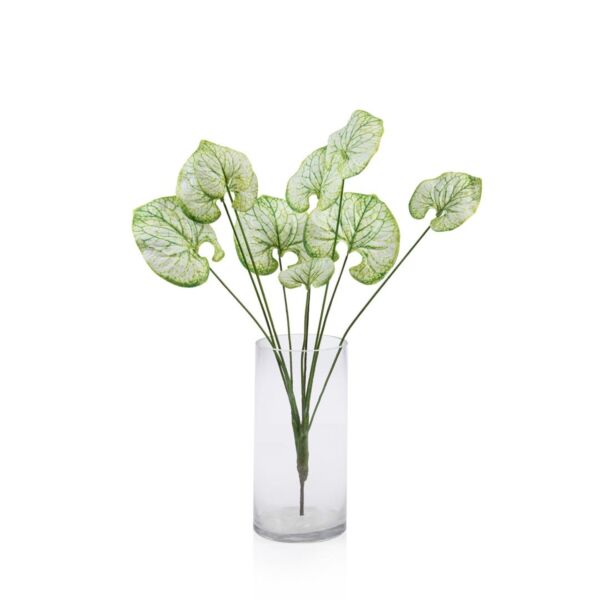 baytonia_main product photo