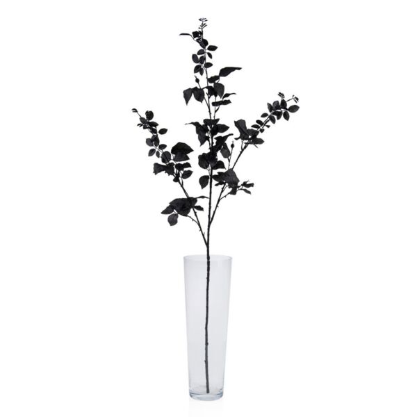 baytonia_main product photo