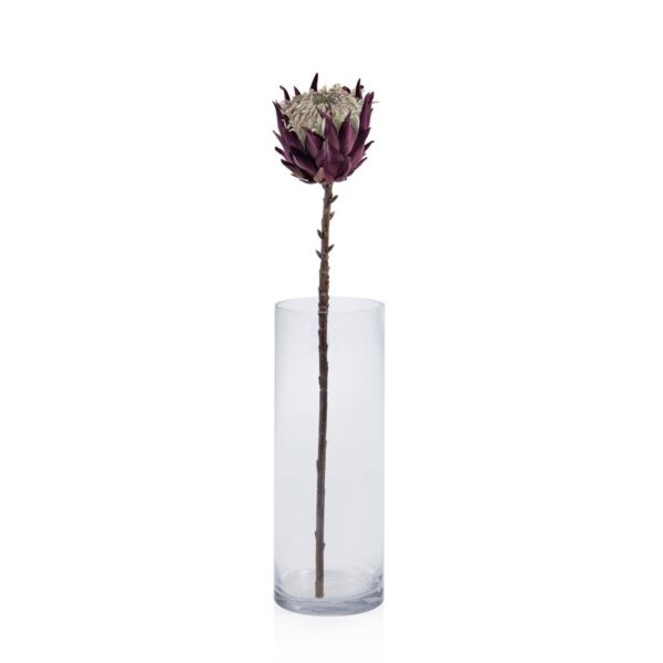 baytonia_main product photo