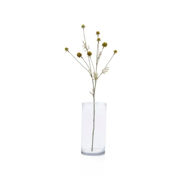 baytonia_main product photo